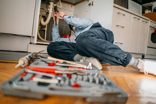 Best Plumbing Services Near Me  in Hawaiian Paradise Park, HI