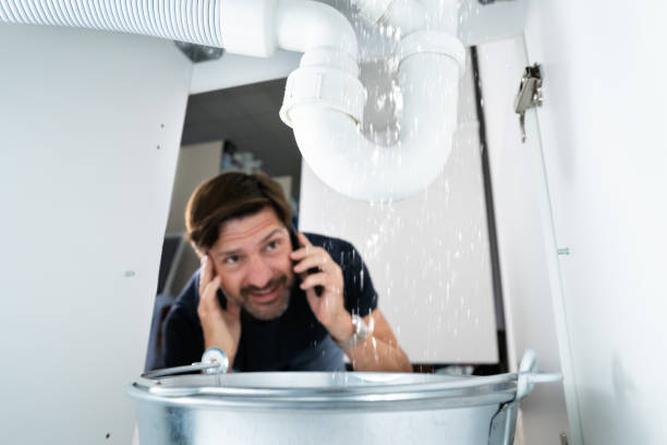 Best Toilet Repair Services  in Hawaiian Paradise Park, HI