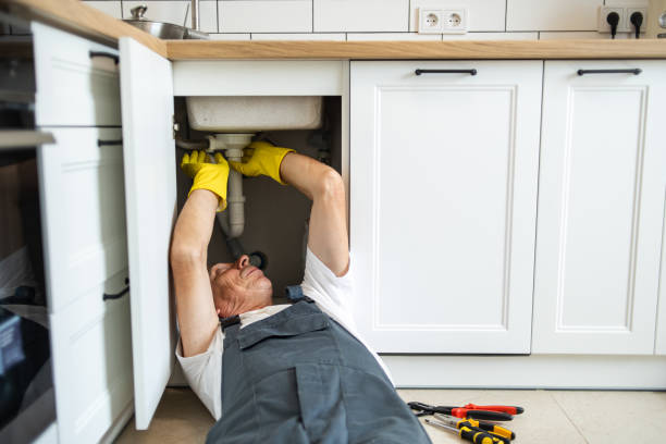 Best Water Softener Installation  in Hawaiian Paradise Park, HI