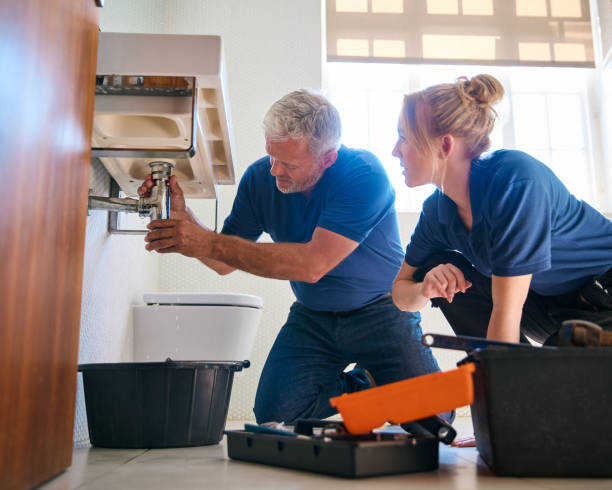 Best Plumbing Inspection Services  in Hawaiian Paradise Park, HI